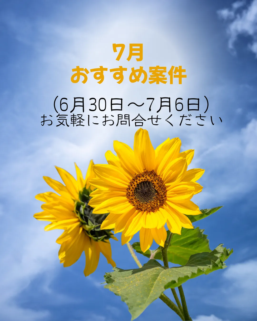 【おすすめ案件】6/30～7/6