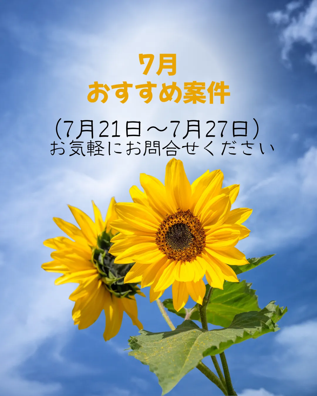 【おすすめ案件】7/21~7/27