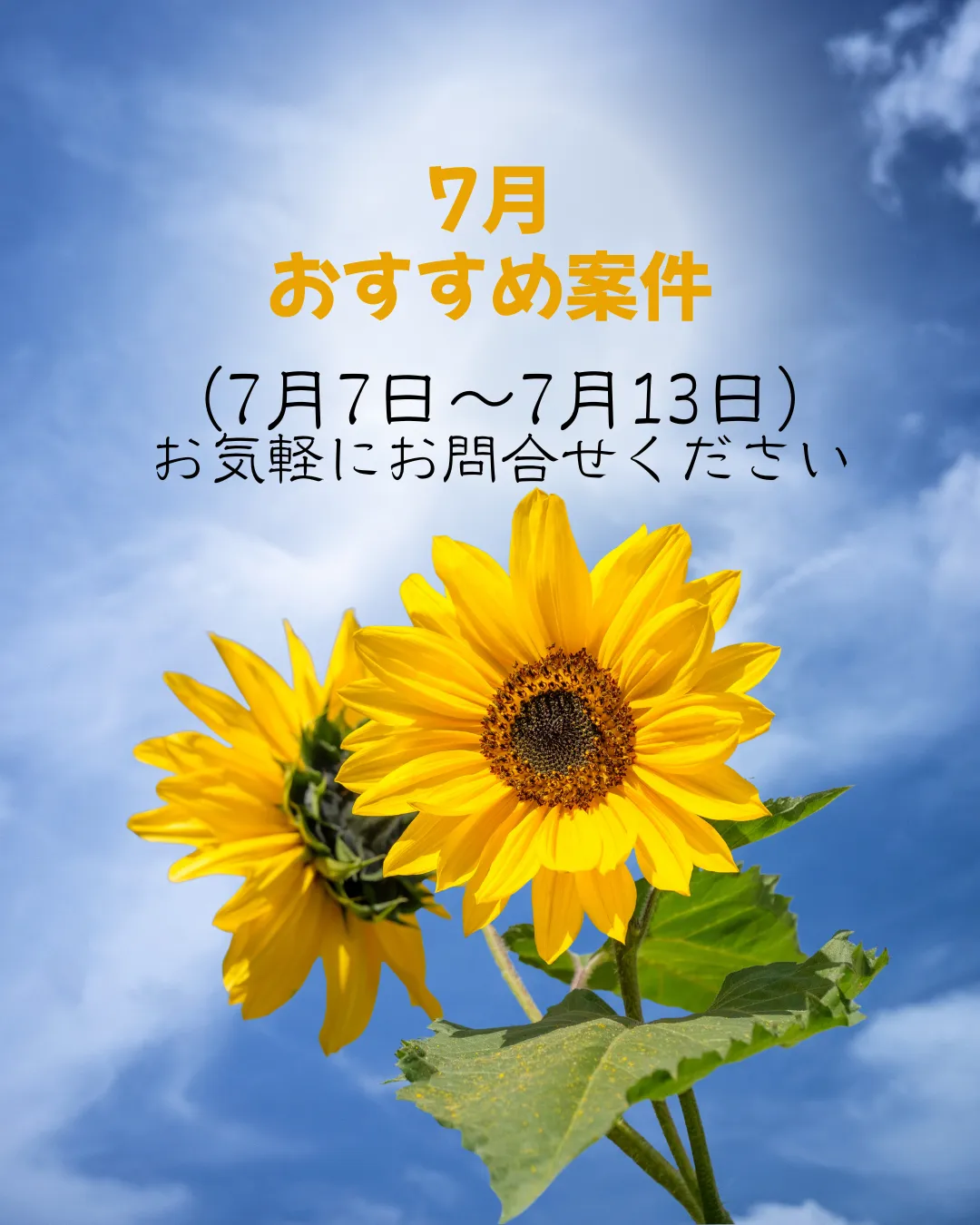 【おすすめ案件】7/7～7/13
