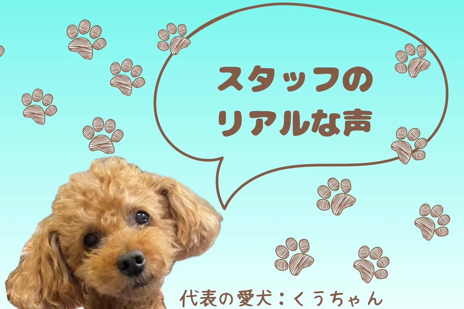 スタッフのリアルな声🎤